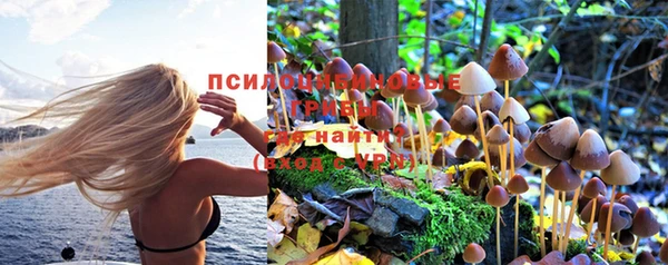 круглые Волосово