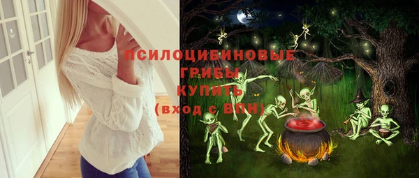 дурь Вяземский
