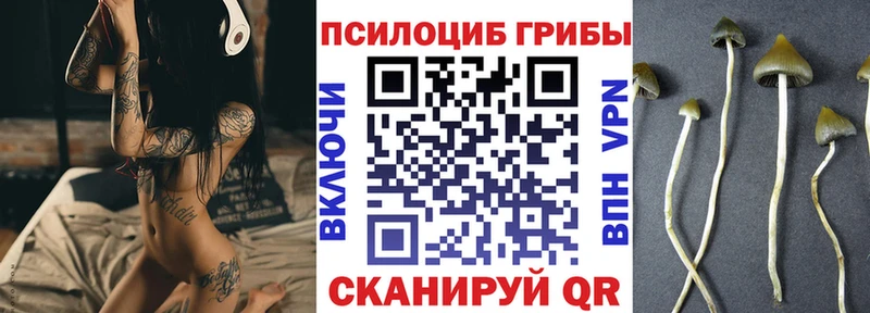 Псилоцибиновые грибы Cubensis  как найти закладки  мега как войти  Петров Вал 